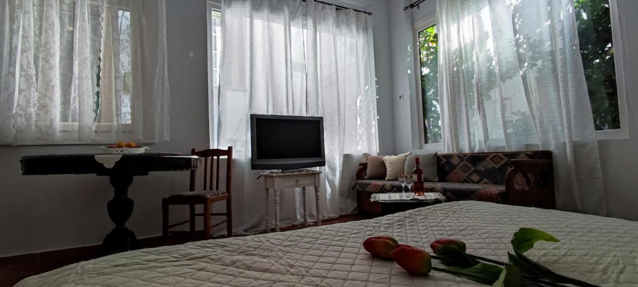 Dream Catcher Studio Skopelos Eksteriør billede